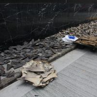 Haifischflossen auf der Straße zum Tocknen