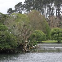 Western Springs park