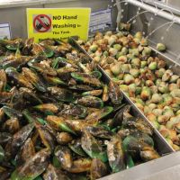 NZ green lipped sea mussel