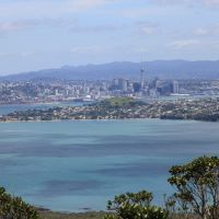 Blick auf Auckland vom Gipfel Rangitotos