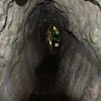 Höhlendurchgang auf dem Ruakuri Bushwalk