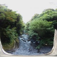 360° auf dem Ruakuri Bushwalk