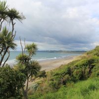 Raglan Beach