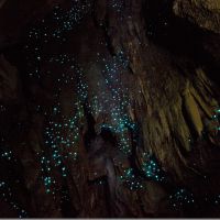 Für dieses Bild stand mir das Wasser bis über die Knie