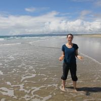Muscheln und Sand Dollars am Ruakaka Beach