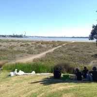 Beach Cleanup mit den Kollegen - Autoreifen und Säcke voll mit Müll