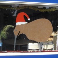 Weihnachtskiwi am Fenster