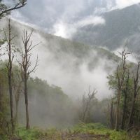 Regen gehört wohl bei einem Regenwald dazu, oder?