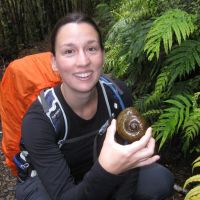 Zwei fleischfressende Schnecken! :D (Lukas)