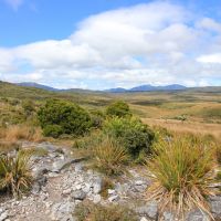 Tag 2, Gouland Downs Hochebene