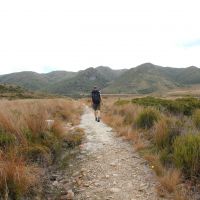 Tag 2, Gouland Downs Hochebene