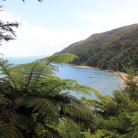 Auf dem Abel Tasman Track