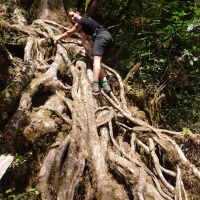 Kraxelei zum Falls Creek Wasserfall