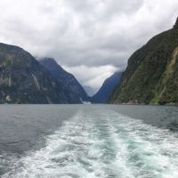 Durch den Milford Sound (Start im Regen)