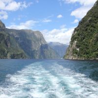 Durch den Milford Sound (plötzlich schönes Wetter)