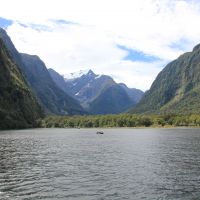 Durch den Milford Sound