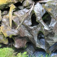 The Chasm (vom Fluss geformtes Felsgestein)