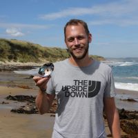 Der erste gefundene Paua Muschel