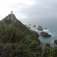 Nugget Point