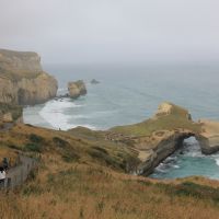 Tunnel Beach Track