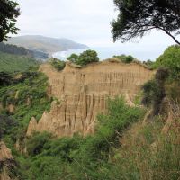 Cathedral Gully Viewpoint