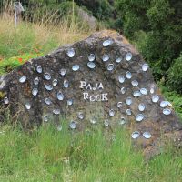 Paua Rock