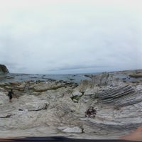 Kaikoura Peninsula Walkway