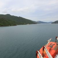 Auf der Fähre durch die Marlborough Sounds