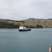 Auf der Fähre durch die Marlborough Sounds