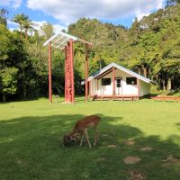 Maori Meeting House (wharenui) bei Tieke Kāinga