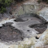 Wai-O-Tapu Schlammpool