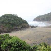 Bethells Beach