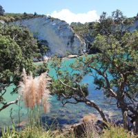 Stingray Bay at Cathedral Cove