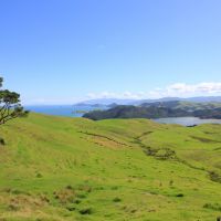 Coromandel Lookout