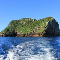 Poor Knights Islands