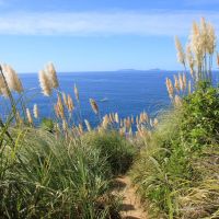 auf dem Weg zu den Mermaid Pools