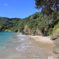 Oke Bay (Bay of Islands)