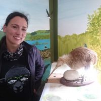 Ein Kiwi ist viel größer als eine Kiwi!