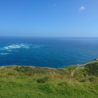 Die Meere treffen aufeinader am Cape Reinga