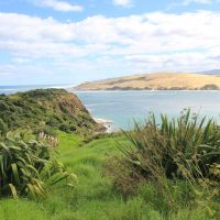 Arai Te Uru Scenic Lookout
