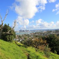 Auckland vom Mount Victoria