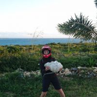 Mega Muschel, Isle of Pines