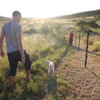 Farmarbeit, Grande Terre