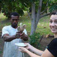 Kokosnussmilch pressen