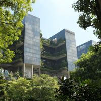 Bäume auf Hochhäusern